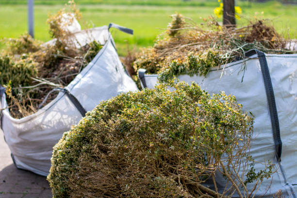 Best Attic Cleanout Services  in El Lago, TX